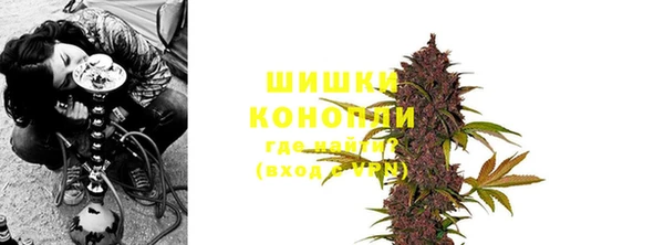 гидра Горнозаводск