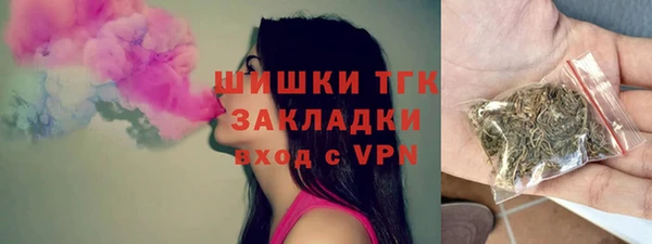 гидра Горнозаводск