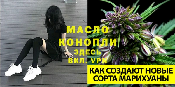 гидра Горнозаводск