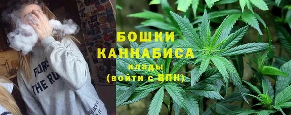 гидра Горнозаводск