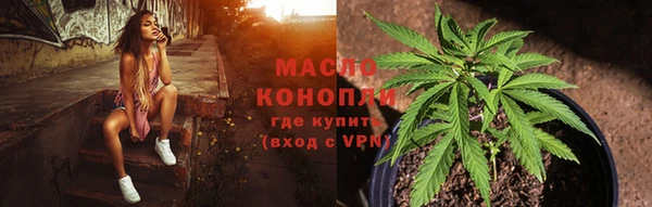 гидра Горнозаводск